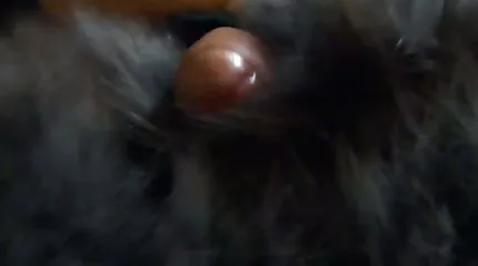 Man domineert gebonden kim holland seksfilms slaaf