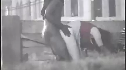 Een lesbische neukt een ander met een romantische seksfilm zwarte strapon